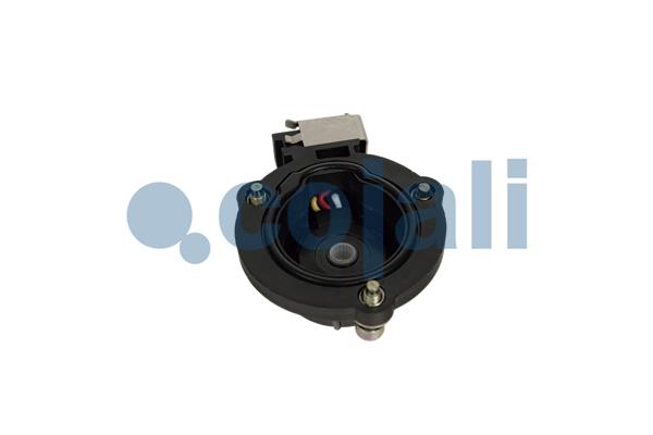 Cojali Remklauw revisie 6084569