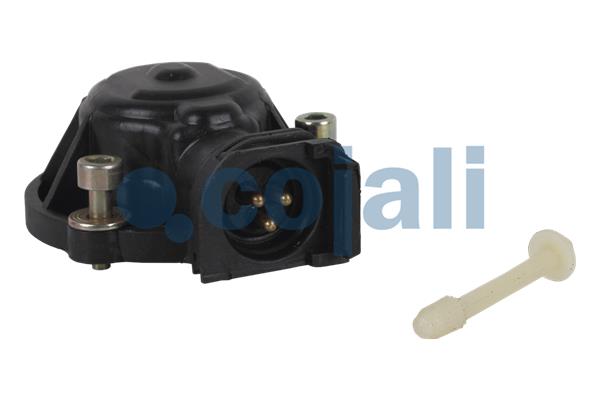 Cojali Remklauw revisie 6084570