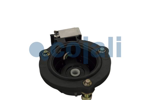 Cojali Remklauw revisie 6084570