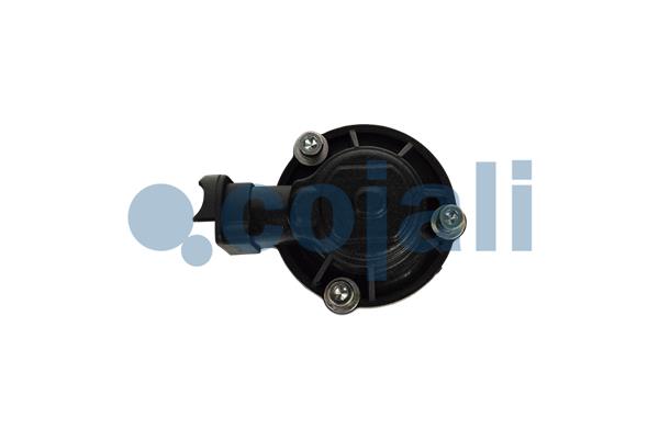 Cojali Remklauw revisie 6084571