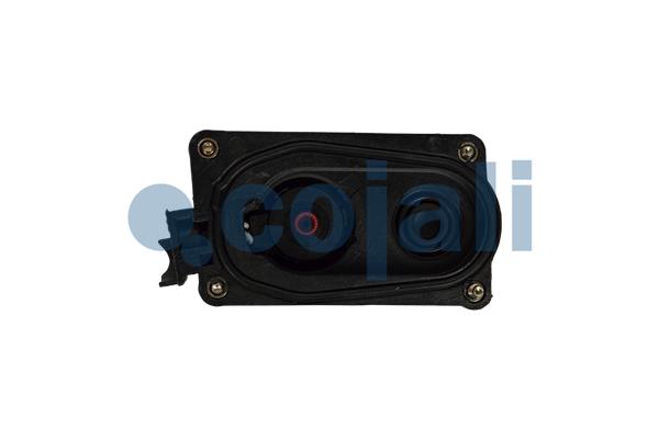 Cojali Remklauw revisie 6084572