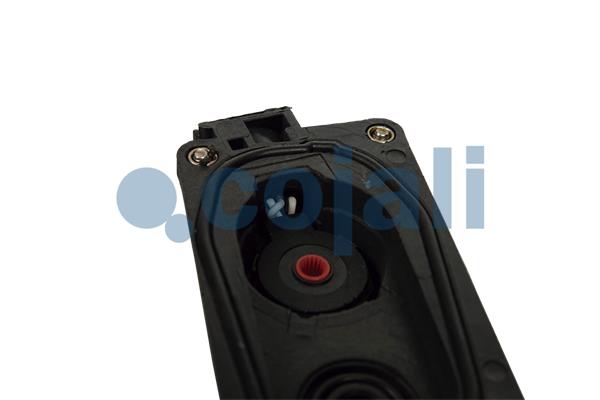 Cojali Remklauw revisie 6084572