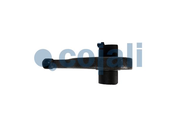 Cojali Remklauw revisie 6084575