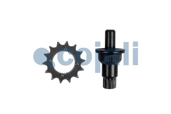 Cojali Remklauw revisie 6084577