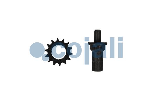 Cojali Remklauw revisie 6084577