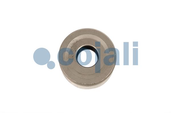 Cojali Remklauw revisie 6085501