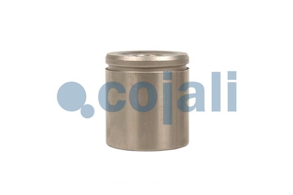 Cojali Remklauw revisie 6085501