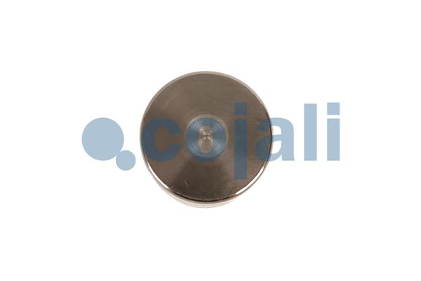 Cojali Remklauw revisie 6085502