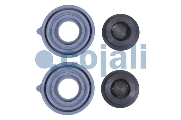 Cojali Remklauw revisie 6086011