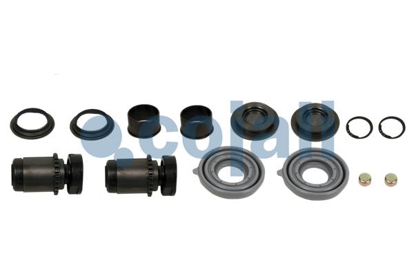 Remklauw revisie Cojali 6086012