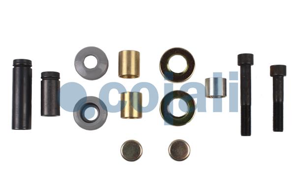 Remklauw revisie Cojali 6086019