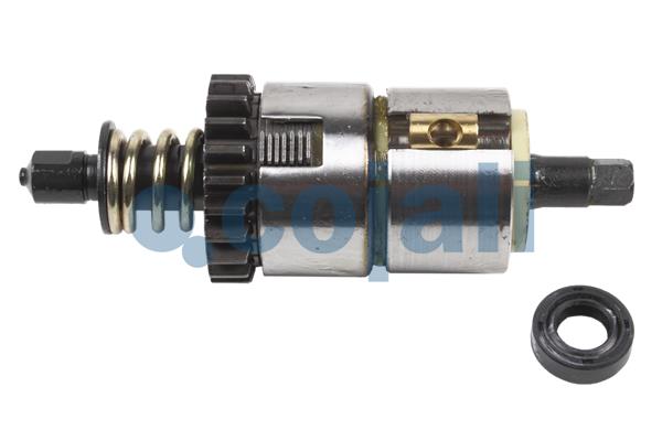 Remklauw revisie Cojali 6086029