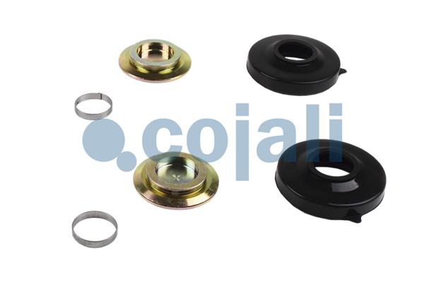 Remklauw revisie Cojali 6086038