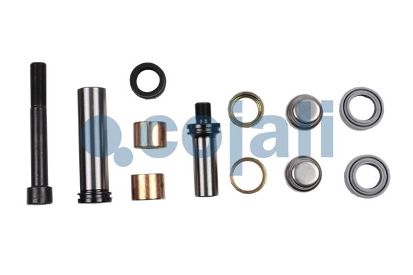 Cojali Remklauw revisie 6086039