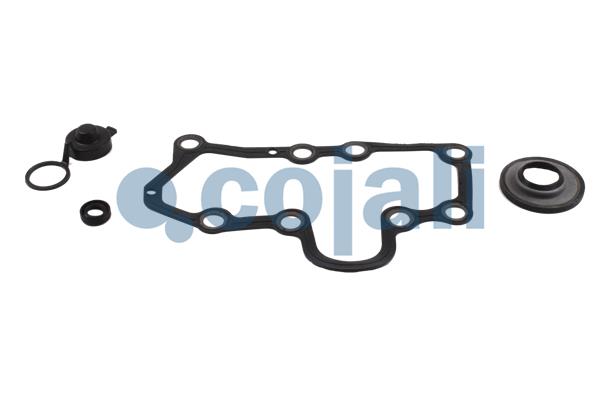 Remklauw revisie Cojali 6086096