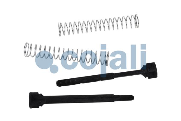 Remklauw revisie Cojali 6086100