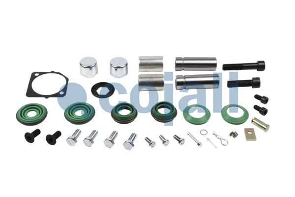 Remklauw revisie Cojali 6086105