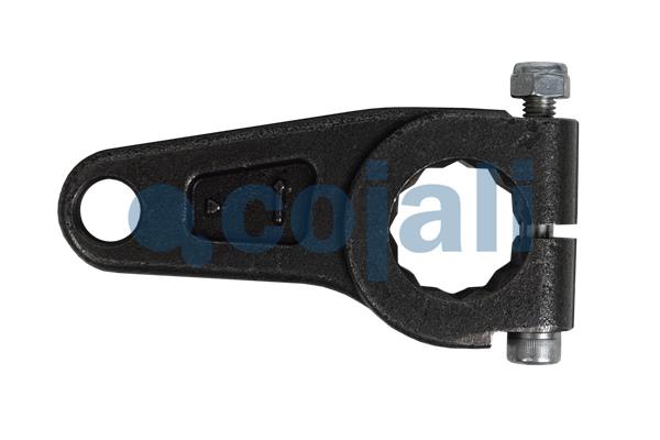 Cojali Remklauw revisie 6086106