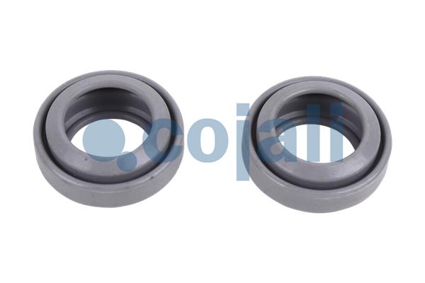 Remklauw revisie Cojali 6086113