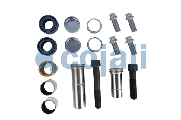 Remklauw revisie Cojali 6086118