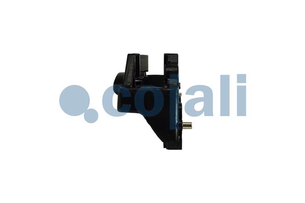 Cojali Remklauw revisie 6086131