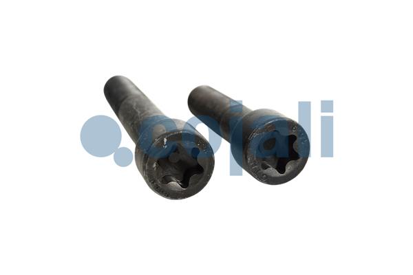 Cojali Remklauw revisie 6086131