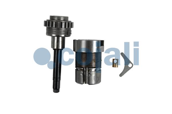 Cojali Remklauw revisie 6086132