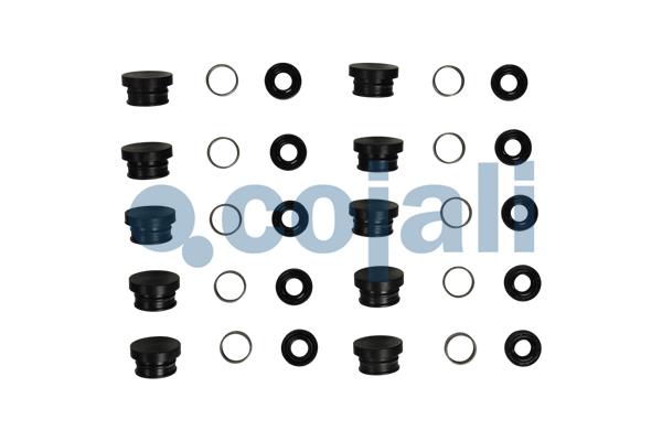 Remklauw revisie Cojali 6086140