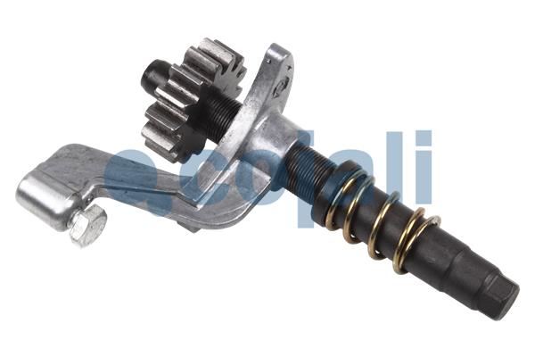 Remklauw revisie Cojali 6086502