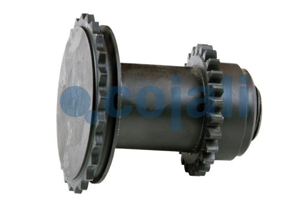 Cojali Remklauw revisie 6086507