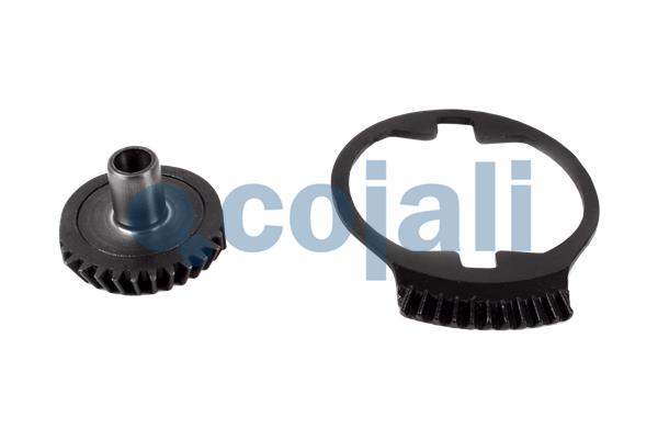 Remklauw revisie Cojali 6086512