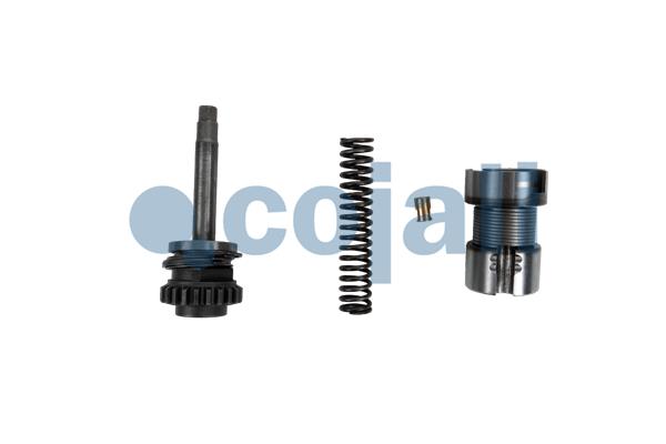 Cojali Remklauw revisie 6086519