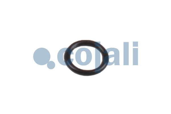 Cojali Remklauw revisie 6086522