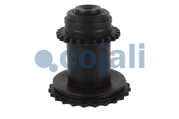 Remklauw revisie Cojali 6086523