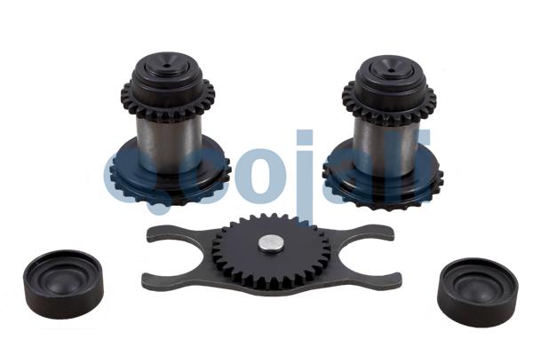 Cojali Remklauw revisie 6086526