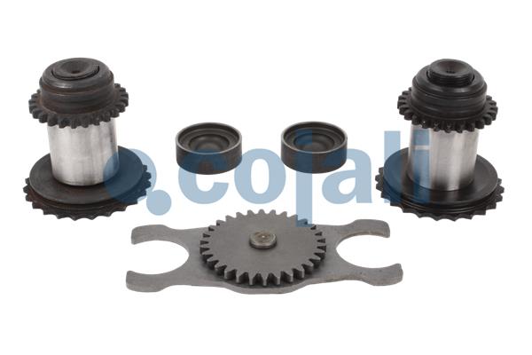 Cojali Remklauw revisie 6086526