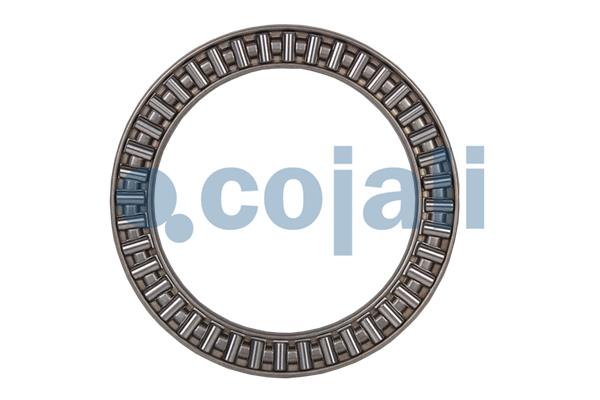 Cojali Remklauw revisie 6086532