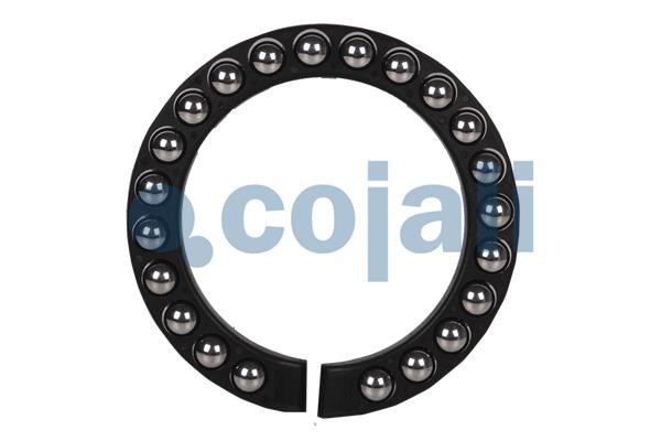 Cojali Remklauw revisie 6086533