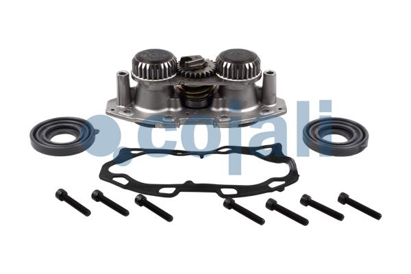 Remklauw revisie Cojali 6086546