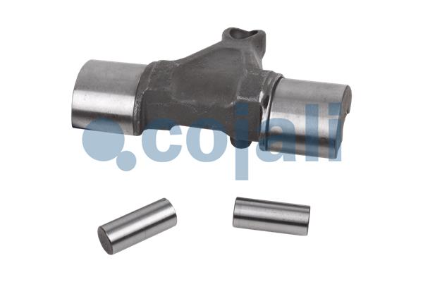 Cojali Remklauw revisie 6086547