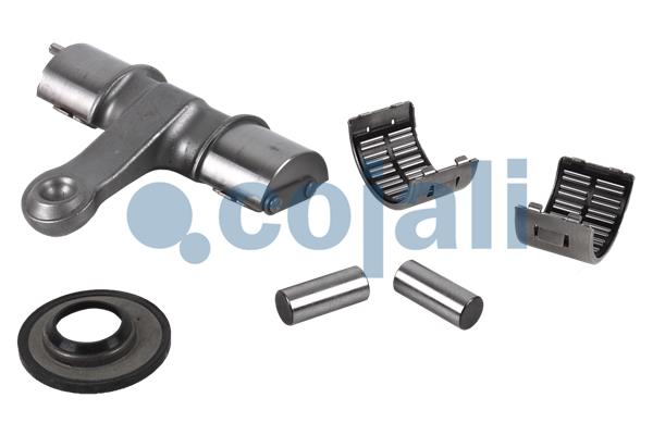 Cojali Remklauw revisie 6086549