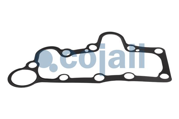 Remklauw revisie Cojali 6086555