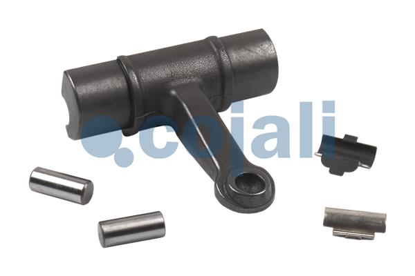 Cojali Remklauw revisie 6086560