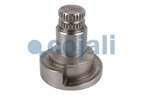 Remklauw revisie Cojali 6086574