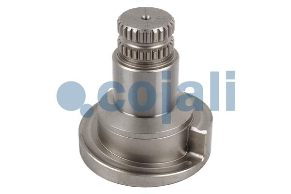 Remklauw revisie Cojali 6086575