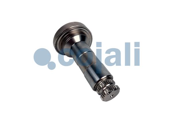 Cojali Remklauw revisie 6086577