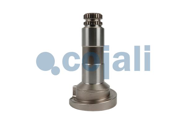 Cojali Remklauw revisie 6086578