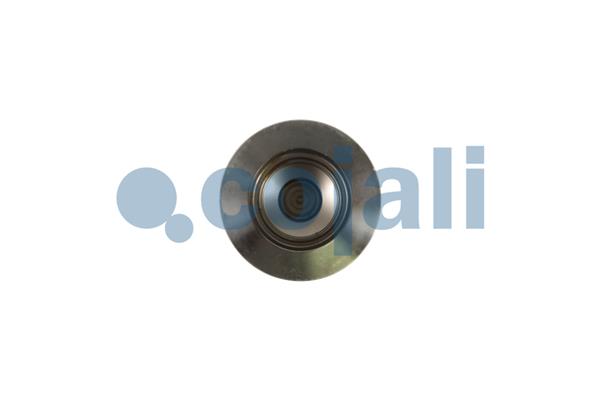 Cojali Remklauw revisie 6086578