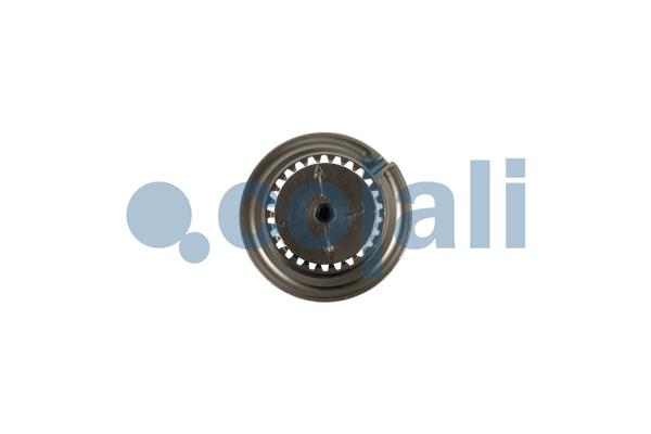 Cojali Remklauw revisie 6086578