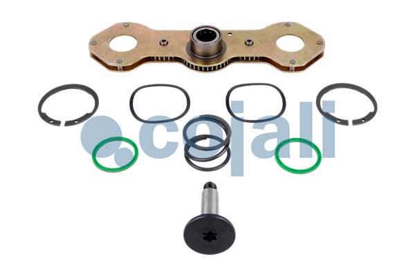 Remklauw revisie Cojali 6086581